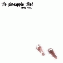 The Pineapple Thief : Little Man